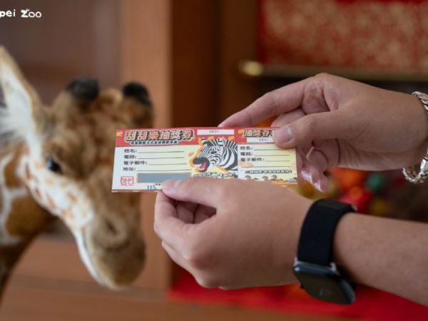 好運一路刮到壓軸！動物園「馬年刮刮樂」熱鬧不散場，2 月 25 日迎來最幸運的那一刻